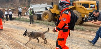 Bomberos Voluntarios en la búsqueda de una persona desaparecida por derrumbe. Foto La Hora: Cuerpo de Bomberos Voluntarios