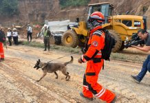 Derrumbe en Carretera a El Salvador: Autoridades buscan a una persona reportada como desaparecida Bomberos Voluntarios en la búsqueda de una persona desaparecida por derrumbe. Foto La Hora: Cuerpo de Bomberos Voluntarios