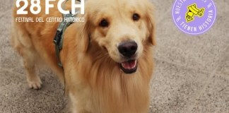 "Patitas por el Centro", un recorrido para caminar, aprender y compartir con las mascotas. Foto: Dirección del Centro Histórico.