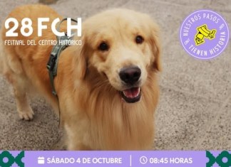 "Patitas por el Centro", un recorrido para caminar, aprender y compartir con las mascotas. Foto: Dirección del Centro Histórico.
