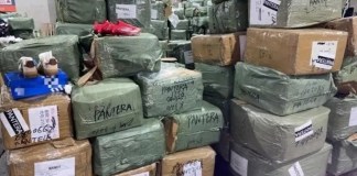La SAT informa el decomiso de 181 mil 464 pares de zapatos deportivos y tenis.