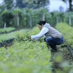 Salario Mínimo 2026 Esta es la propuesta del sector del Agro y explica la razón