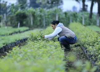 Salario Mínimo 2026 Esta es la propuesta del sector del Agro y explica la razón