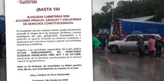 arte roberto altan camara de comercio
