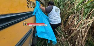 Bomberos Voluntarios atendieron un accidente de tránsito en el kilómetro 108 de la ruta a Cerro Colorado donde quedó una persona fallecida y otra herida. Foto: Bomberos Voluntarios Santa Lucía Cotzumalguapa