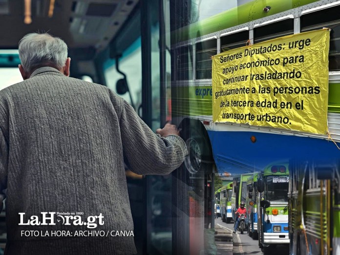 Transportistas solicitan subsidio para el adulto mayor, Foto; La Hora: Archivo/Canva