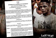 Designación de maras y pandillas como terroristas pide investigación financiera y reclusión de integrantes.