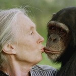 Jane Goodall