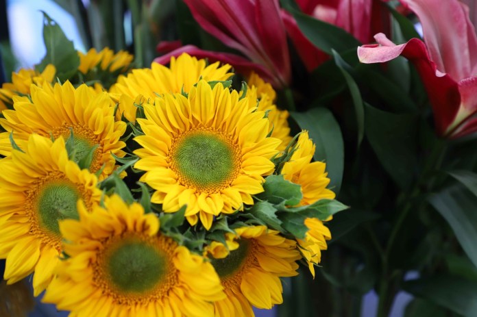 flores agexport
