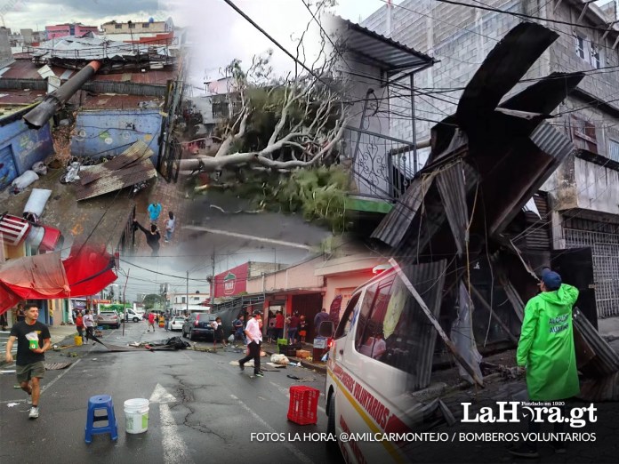 Fuertes vientos y lluvias provocan caída de árboles y daños en distintos puntos de la capital.