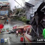 Fuertes vientos y lluvias provocan caída de árboles y daños en distintos puntos de la capital.