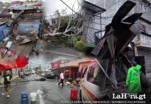 Fuertes vientos y lluvias provocan caída de árboles y daños en distintos puntos de la capital.