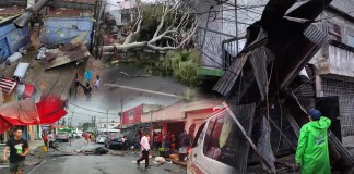 Fuertes vientos y lluvias provocan caída de árboles y daños en distintos puntos de la capital.
