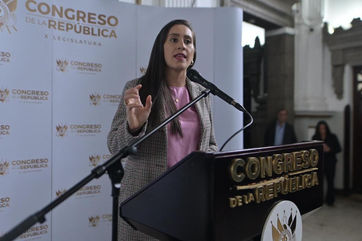 Diputada Karina Paz acciona en la CC contra reformas a Ley de Protección y Mejoramiento del Medio Ambiente