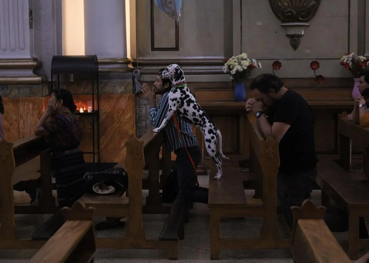En Imágenes: La bendición de mascotas en Guatemala por el Día de San Francisco de Asís