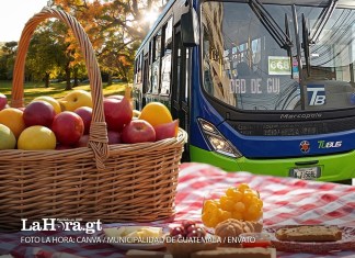 De acuerdo con la Comunicación Social de La Municipalidad de Guatemala, la jornada forma parte del proyecto “Muévete Verde”, ganador de la categoría Árbol en el Concurso Municipal por la Acción Climática “Acciones Verdes”. Foto: La Hora