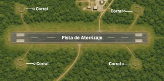 Mapa del plan para capturar y reubicar fauna silvestre en el Aeródromo Mundo Maya. Foto La Hora: DGAC