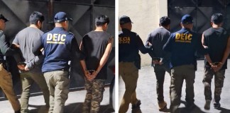 Deportados quienes fueron capturados por delitos contra la mujer