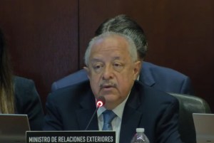 En sesión extraordinaria de la OEA, canciller pide acompañamiento y expone persecución del MP