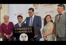 Diputados oficialistas accionan en la CC para frenar acuerdo que busca dar vida a Ley de Codedes