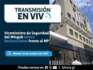 En vivo: Viceministro de Seguridad del Mingob ofrece declaraciones frente al MP