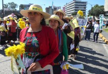 Violencia digital se agrava mientras millones de mujeres siguen sin protección jurídica Día Internacional de la Eliminación de la Violencia contra la Mujer