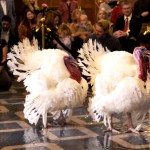 Día de Acción de Gracias