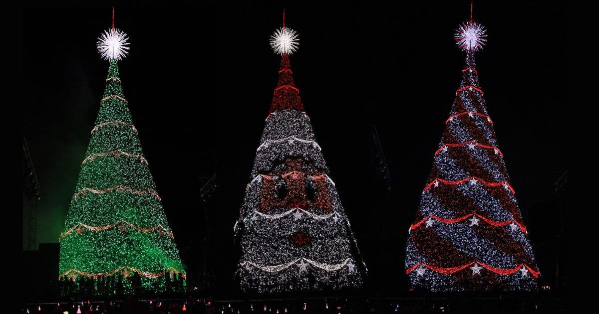 Luces, tradición y alegría iluminan el espíritu navideño del Festival Árbol Gallo. Foto: La Hora/ Daniel Ramírez.