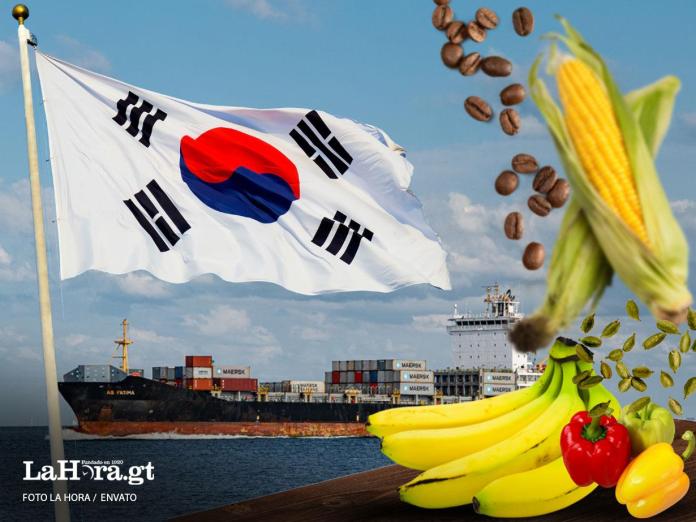 Acceso preferencial de productos de exportación tras adhesión de Guatemala al TLC con Corea y Centroamérica. Foto La Hora