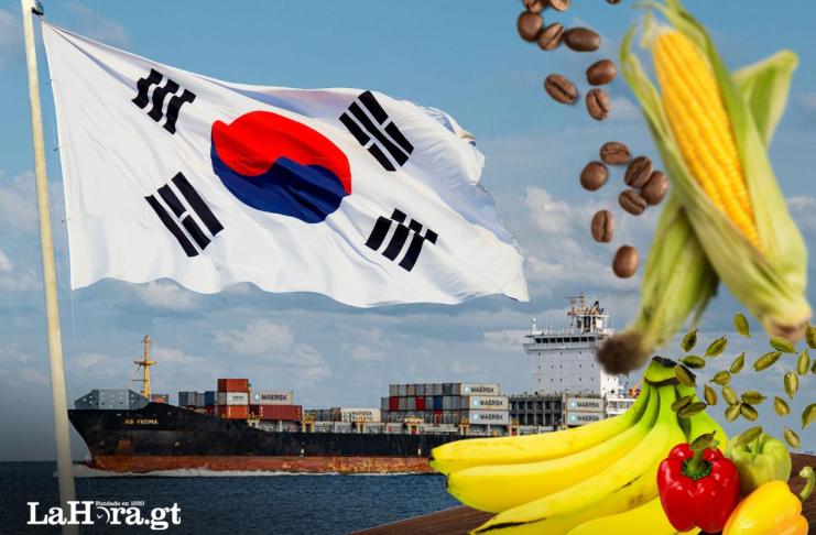 Acceso preferencial de productos de exportación tras adhesión de Guatemala al TLC con Corea y Centroamérica. Foto La Hora
