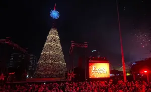 Así será el Festival Árbol Gallo 2025: Recomendaciones y lo esencial para asistir