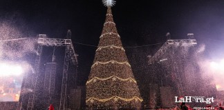 El tradicional Festival Árbol Gallo se inauguró con actividades, shows, música y luces. Foto: Cortesía Cerveza Gallo