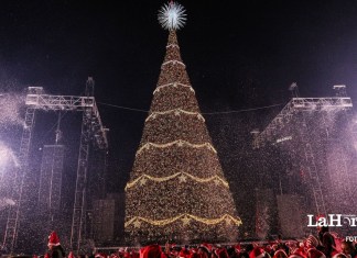 El tradicional Festival Árbol Gallo se inauguró con actividades, shows, música y luces. Foto: Cortesía Cerveza Gallo