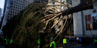 Llega al Rockefeller Center su famoso árbol de Navidad