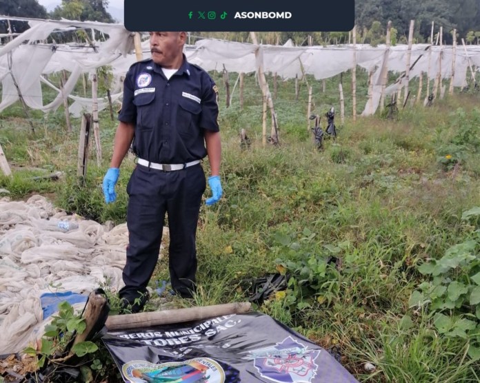 Asonbomd cuerpo pastores