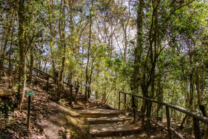 Cerro Alux Cerro Alux, un buen lugar para visitar durante el fin de semana y salir de la rutina.