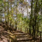Cerro Alux, un buen lugar para visitar durante el fin de semana y salir de la rutina.
