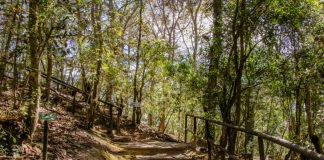 Cerro Alux, un buen lugar para visitar durante el fin de semana y salir de la rutina.