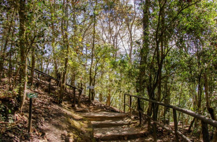 Cerro Alux, un buen lugar para visitar durante el fin de semana y salir de la rutina.