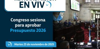 Congreso se reúne este 25 de noviembre. Arte La Hora: Roberto Altán.