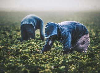 Connacionales elevan la cifra de remesas enviadas al país marcando nuevo récord