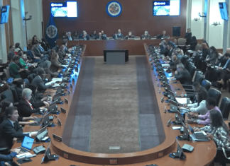 Detalles de la misión de la OEA que viene a Gt para fortalecer la democracia en elecciones de MP y CC