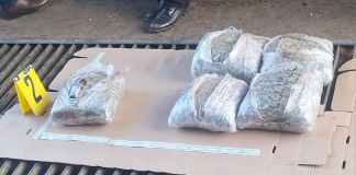 Pasajera fue detenida en Retalhuleu . Foto La Hora: PNC.