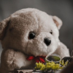 Escondió un arma en un muñeco de peluche, así buscaba Carlos pasar desapercibido