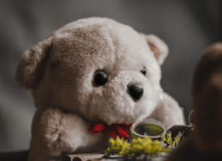 Escondió un arma en un muñeco de peluche, así buscaba Carlos pasar desapercibido