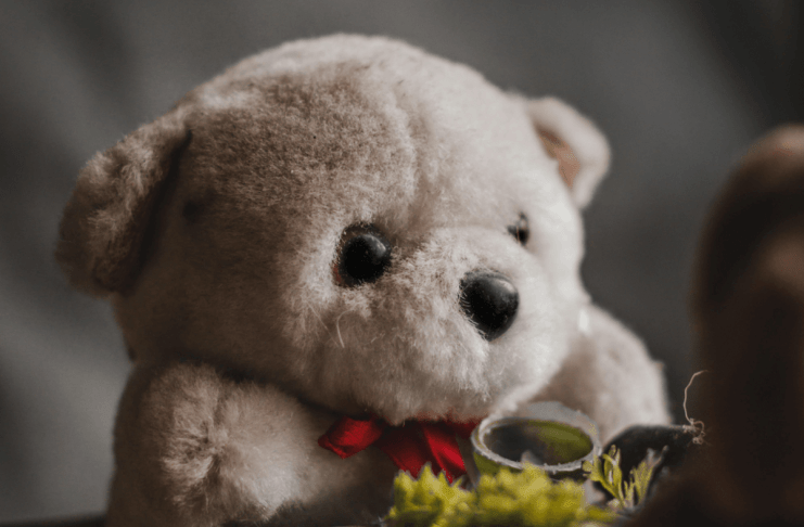 Escondió un arma en un muñeco de peluche, así buscaba Carlos pasar desapercibido