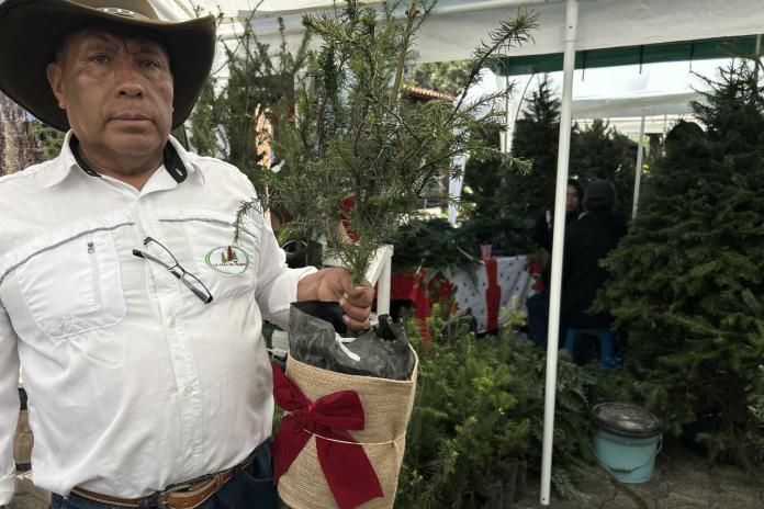 Feria del Pinabete ha sido inaugurada Feria del Pinabete del Inab ha sido inaugurada. Foto La Hora: José Orozco