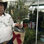 Feria del Pinabete del Inab ha sido inaugurada. Foto La Hora: José Orozco