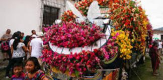 La Municipalidad habilita parqueos, rutas de buses gratuitos y define perímetros de circulación para el Festival de las Flores 2025.