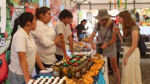 Festival del Níspero 2025: Más de 500 familias dependen de la producción del fruto dorado